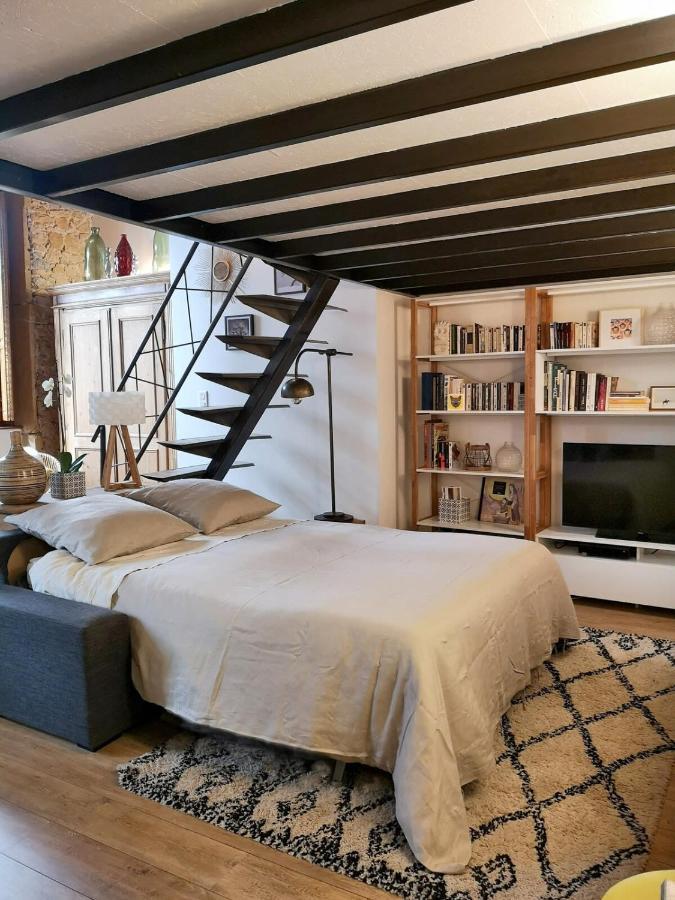 Authentic Loft With Mezzanine & Exposed Stones Heart Of Lyonアパートメント エクステリア 写真